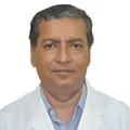 Prof. Dr. Pranashish Saha