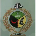 Aziz Lab and Consultation Center