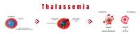 Thalassemia